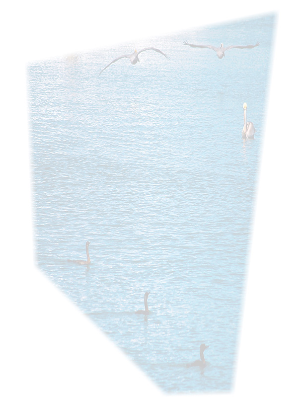 Law of Attraction Card - Image 3