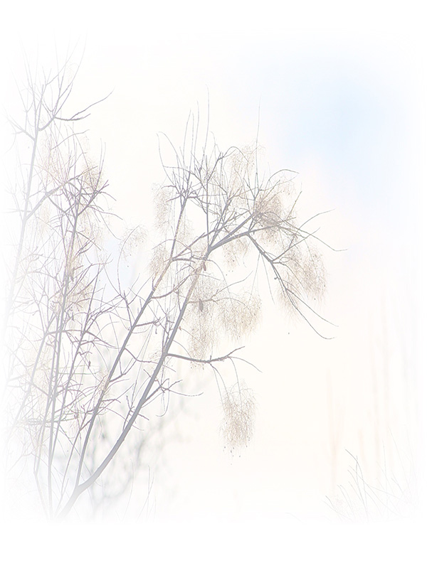 Law of Attraction Card - Image 3