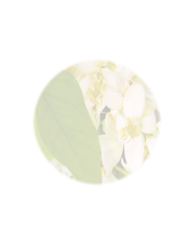 Law of Attraction Card - Image 3