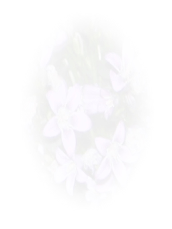 Law of Attraction Card - Image 3