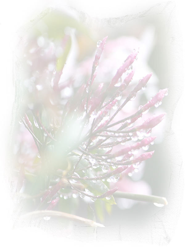 Law of Attraction Card - Image 3