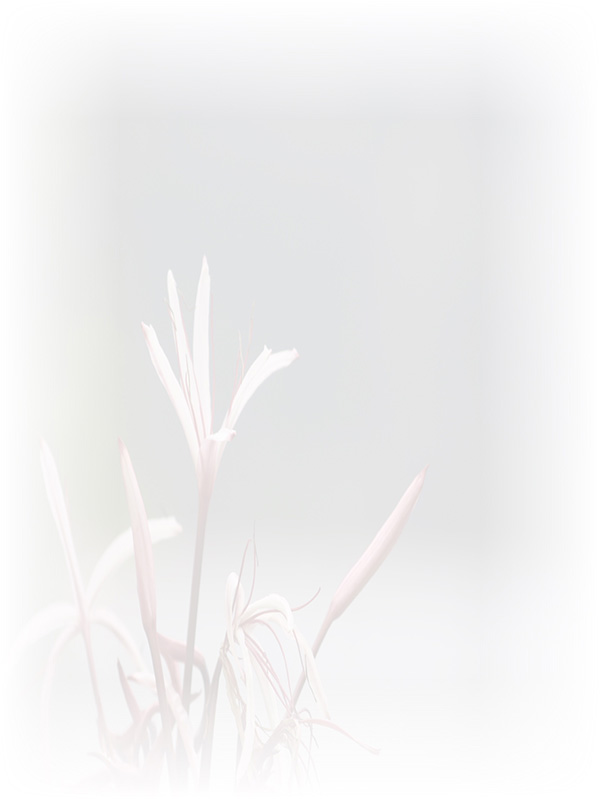Law of Attraction Card - Image 3