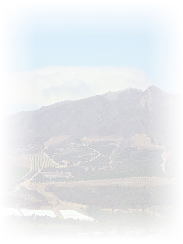 Law of Attraction Card - Image 3