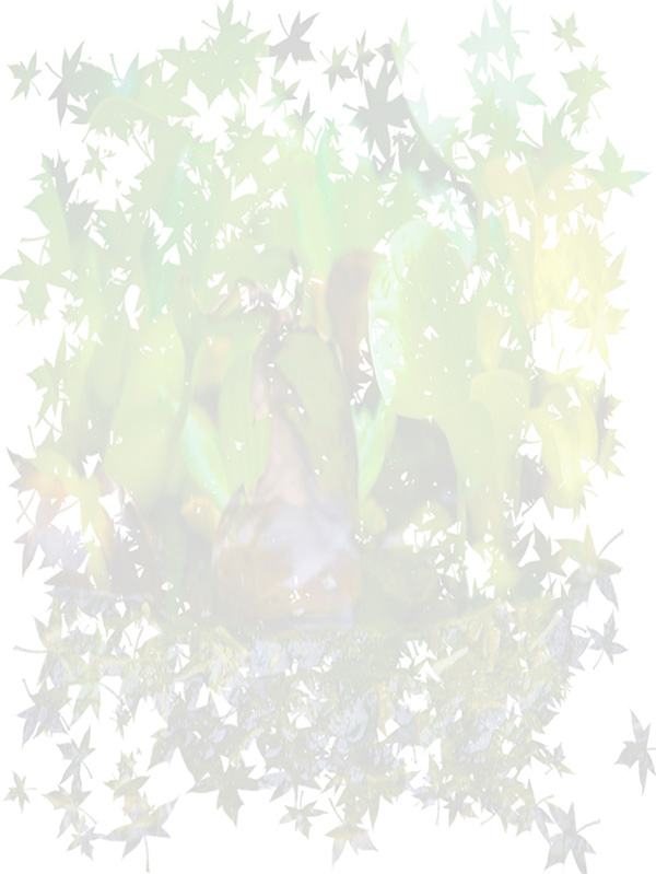 Law of Attraction Card - Image 3