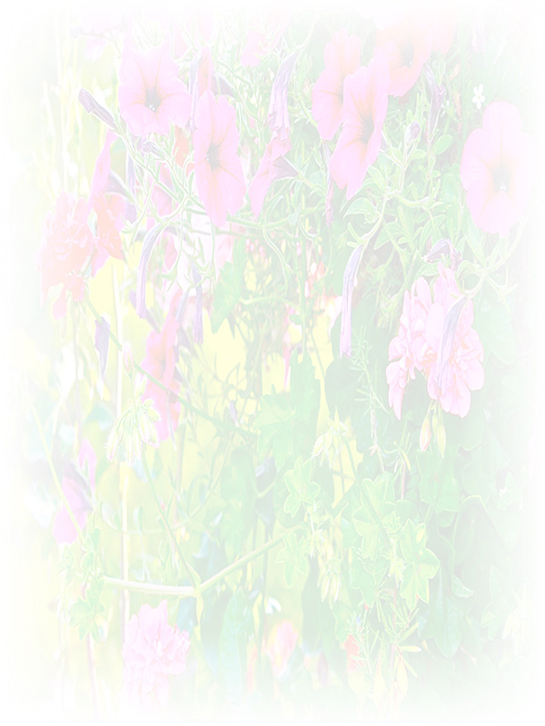 Law of Attraction Card - Image 3