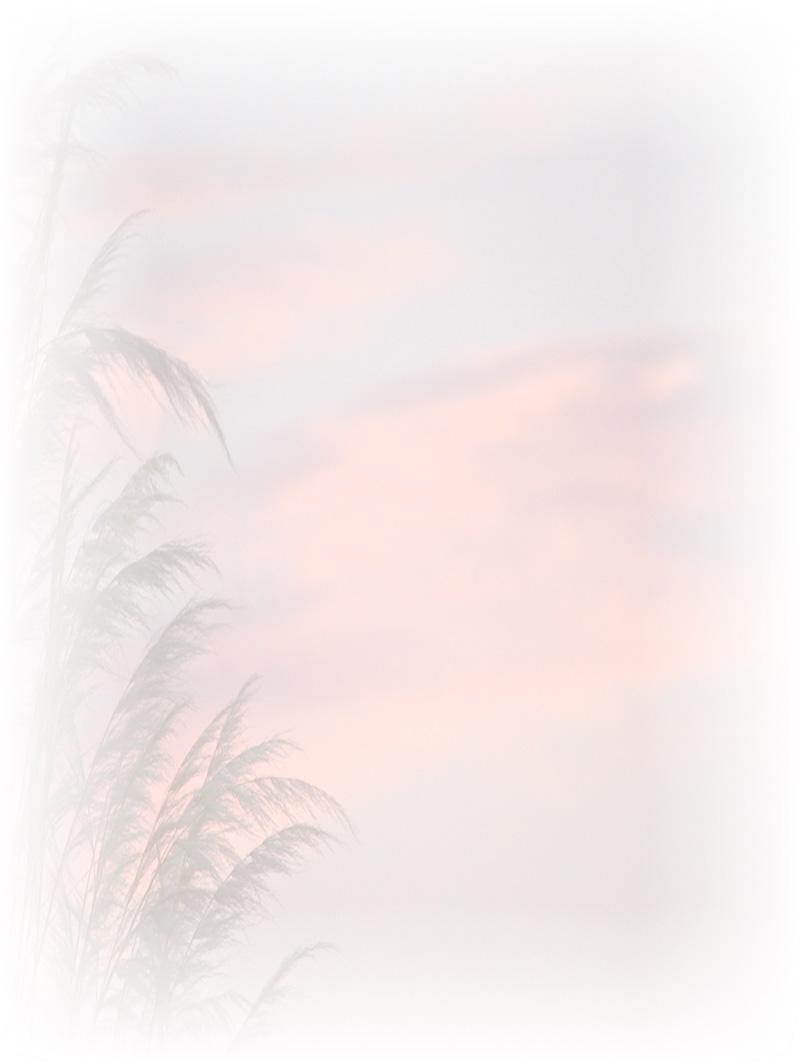 Law of Attraction Card - Image 3