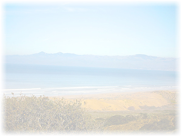 Law of Attraction Card - Image 3