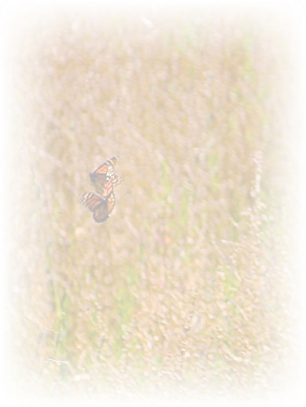 Law of Attraction Card - Image 3