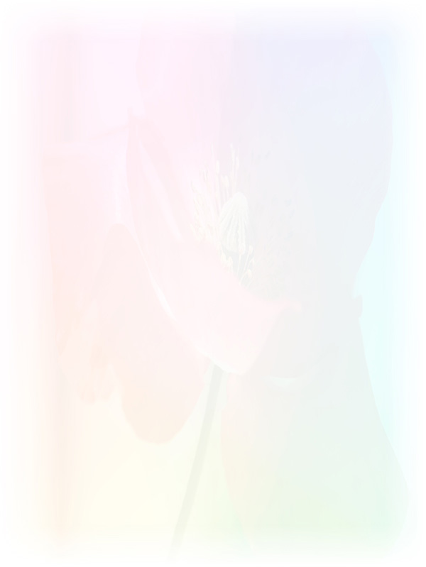 Law of Attraction Card - Image 3