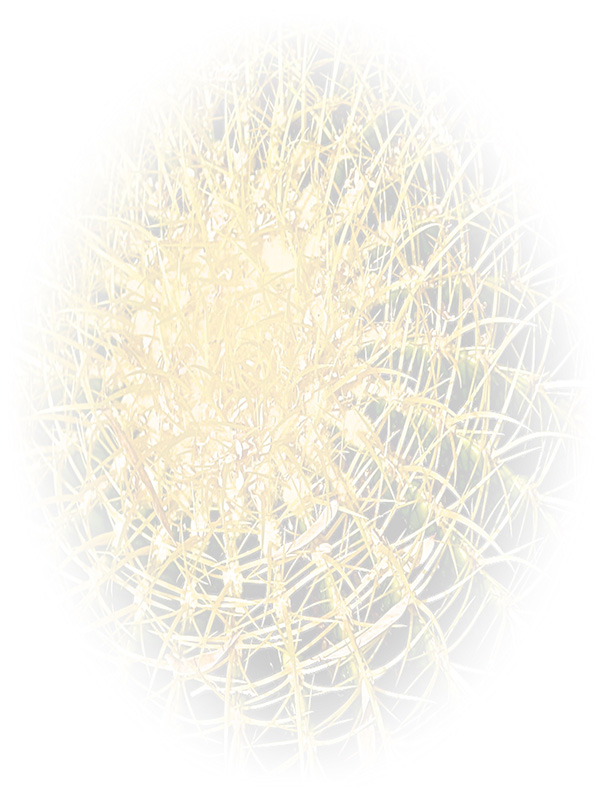 Law of Attraction Card - Image 3