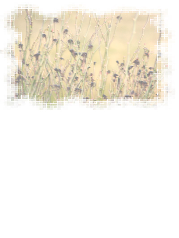 Law of Attraction Card - Image 3