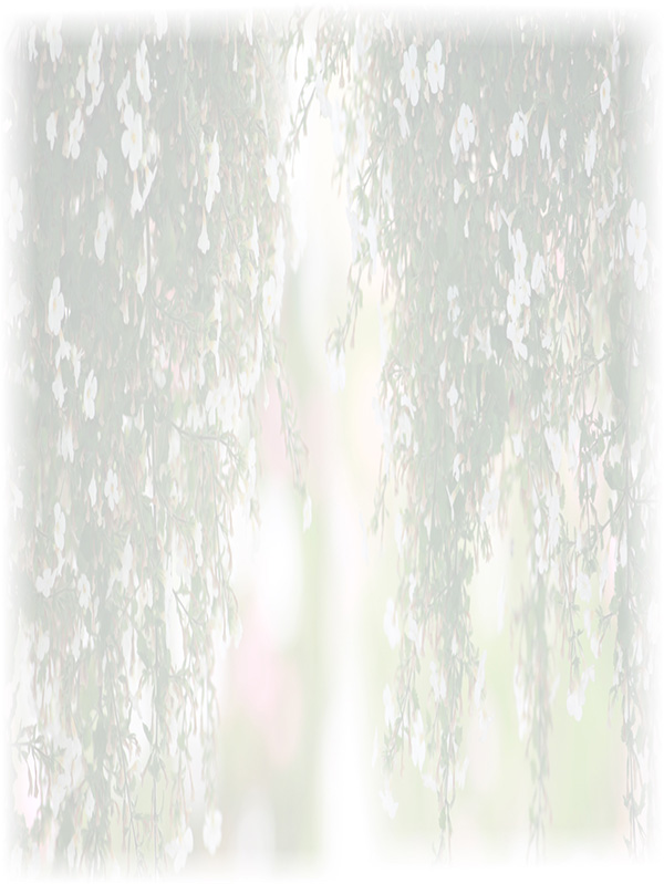 Law of Attraction Card - Image 3