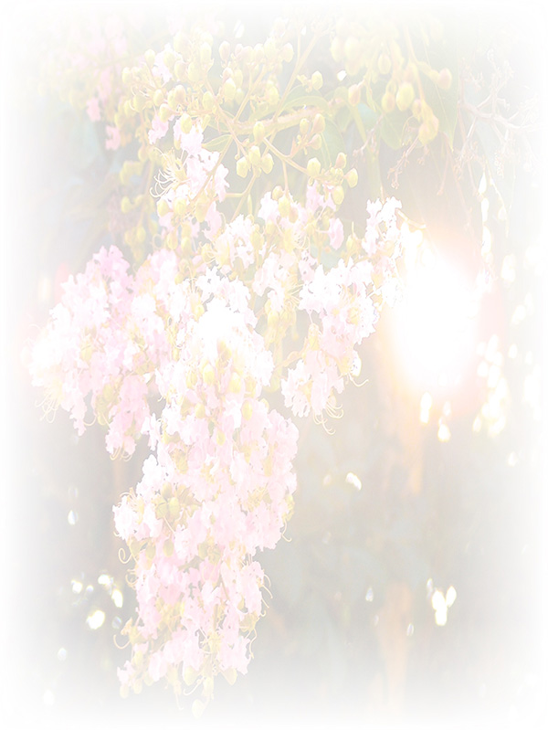 Law of Attraction Card - Image 3