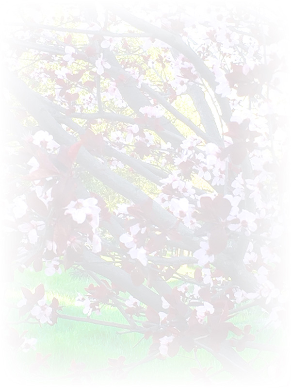 Law of Attraction Card - Image 3
