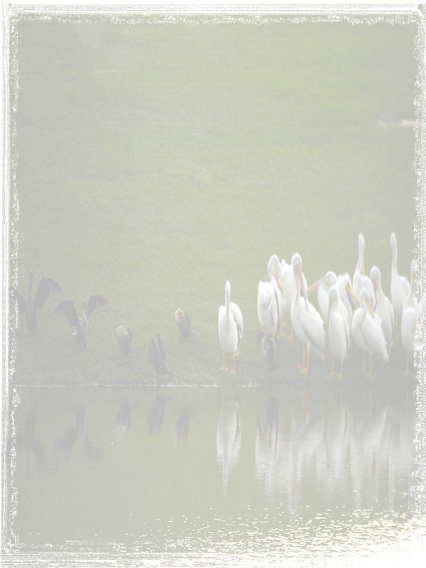 Law of Attraction Card - Image 3