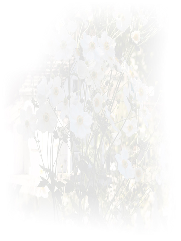 Law of Attraction Card - Image 3