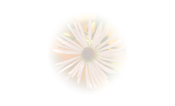 Law of Attraction Card - Image 3