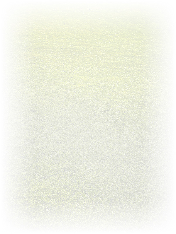 Law of Attraction Card - Image 3