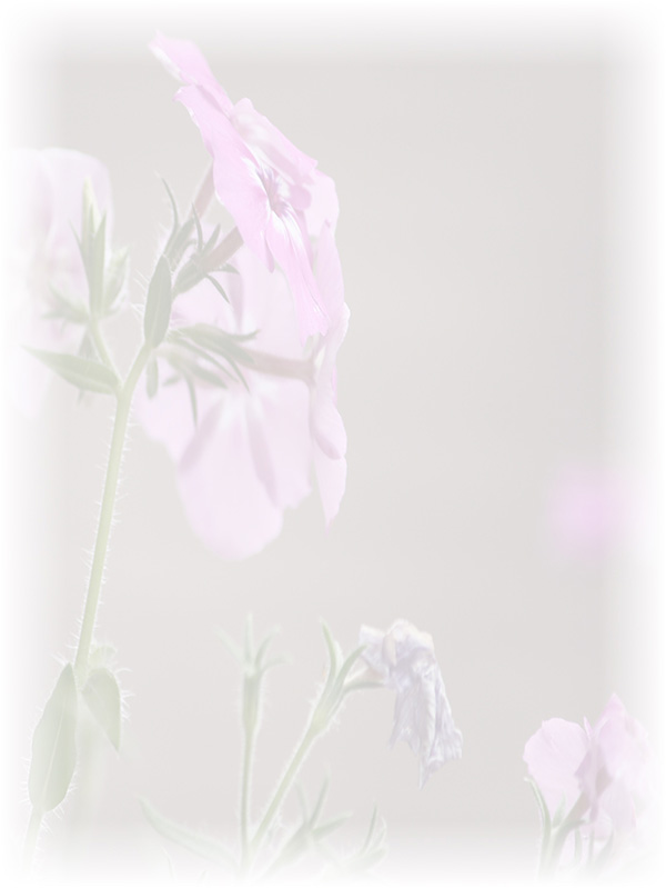 Law of Attraction Card - Image 3