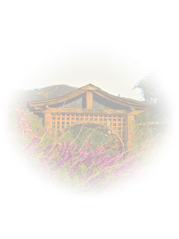 Law of Attraction Card - Image 3