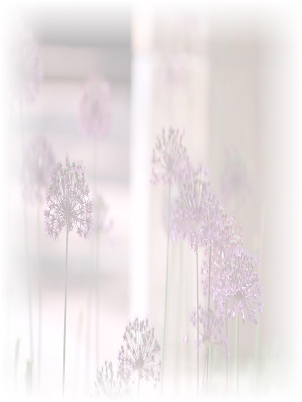 Law of Attraction Card - Image 3