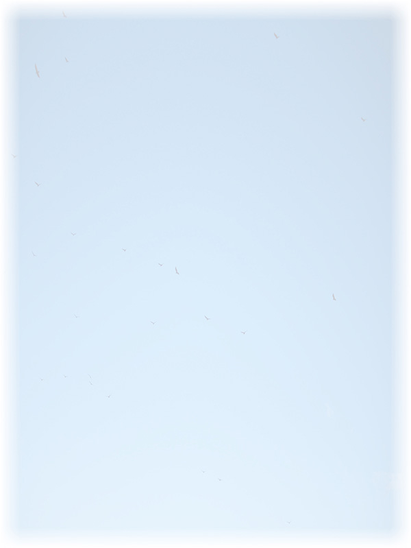 Law of Attraction Card - Image 3