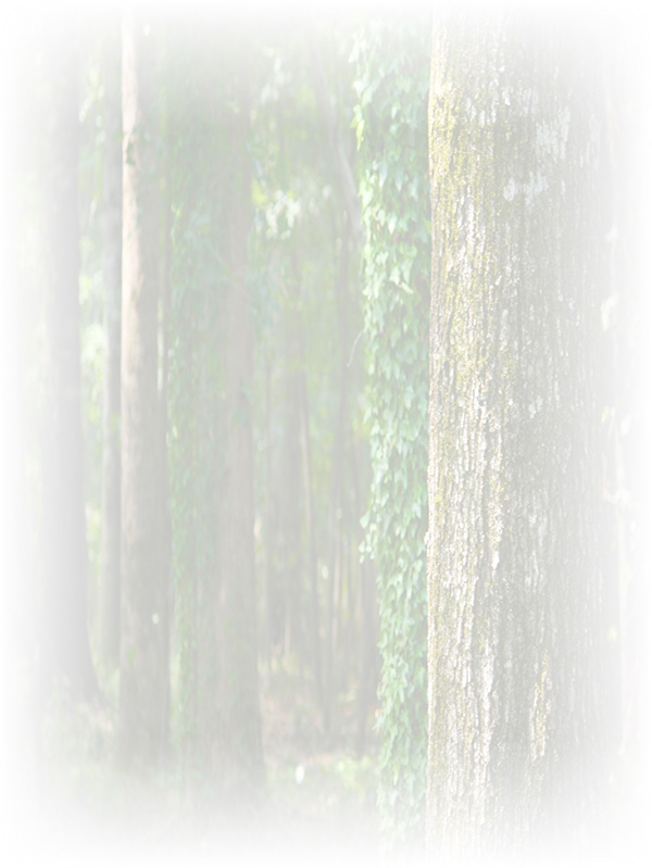 Law of Attraction Card - Image 3