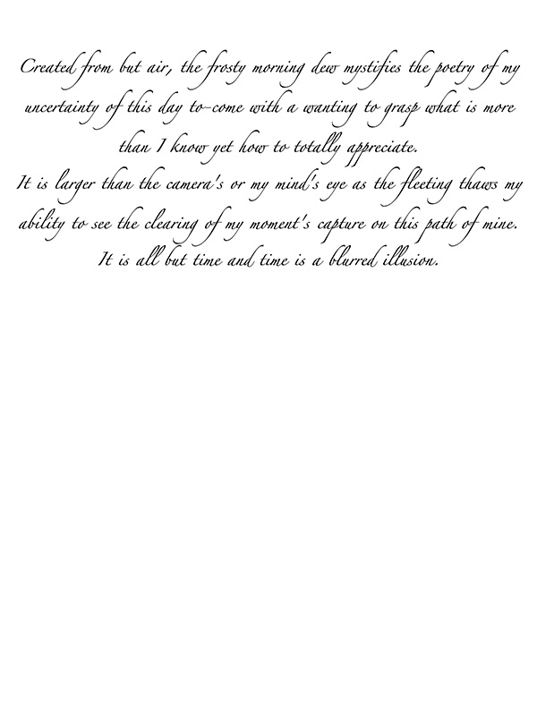 Law of Attraction Card - Image 3