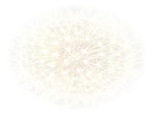 Law of Attraction Card - Image 3