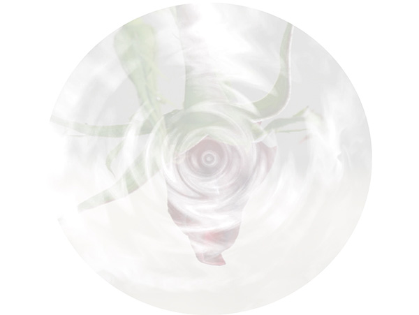 Law of Attraction Card - Image 3
