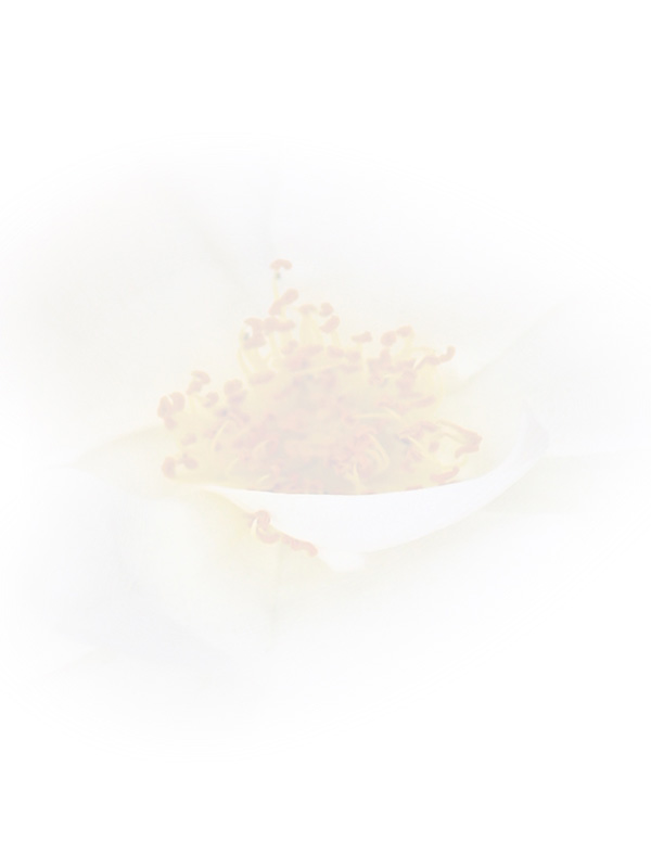 Law of Attraction Card - Image 3