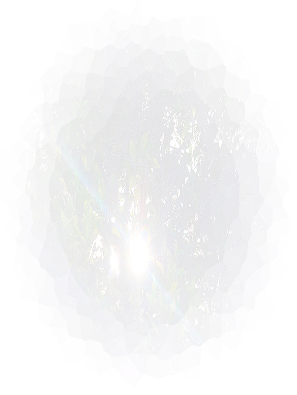 Law of Attraction Card - Image 3