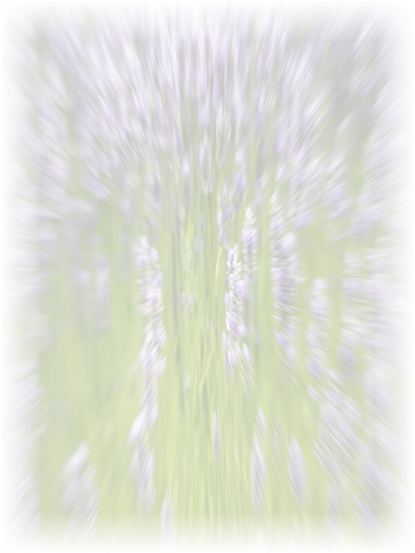 Law of Attraction Card - Image 3