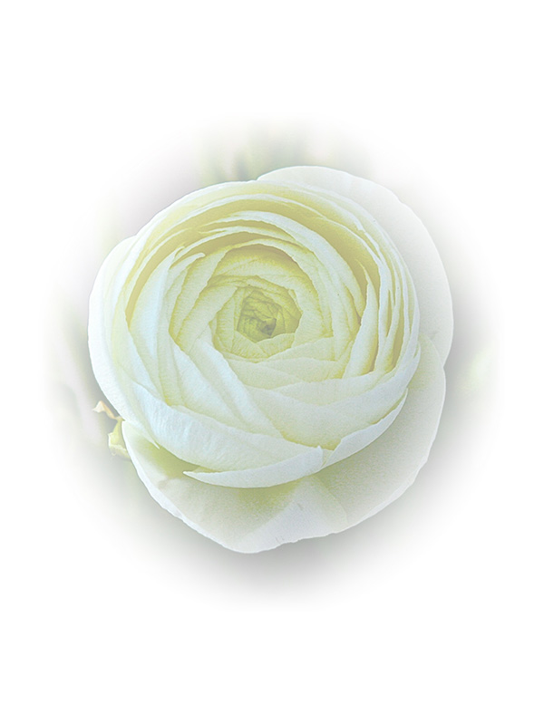 Law of Attraction Card - Image 3