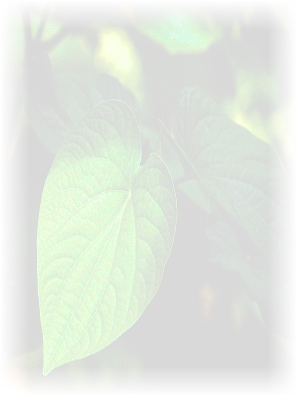 Law of Attraction Card - Image 3