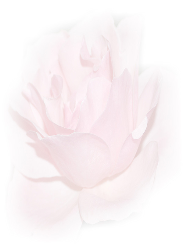 Law of Attraction Card - Image 3