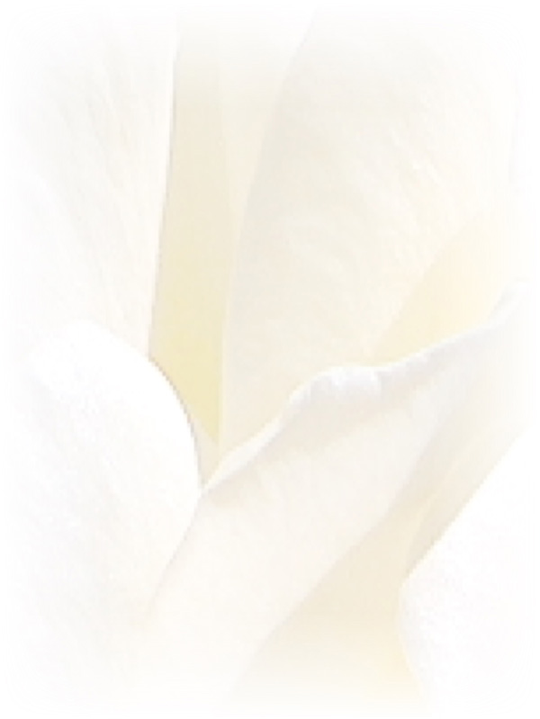 Law of Attraction Card - Image 3