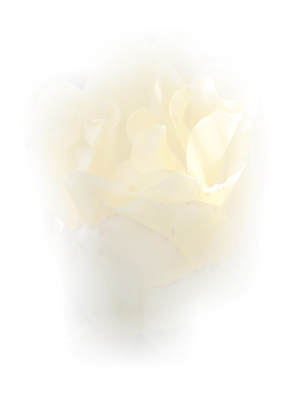 Law of Attraction Card - Image 3
