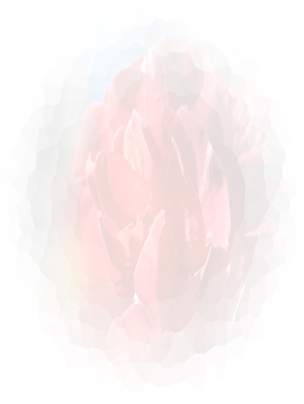 Law of Attraction Card - Image 3