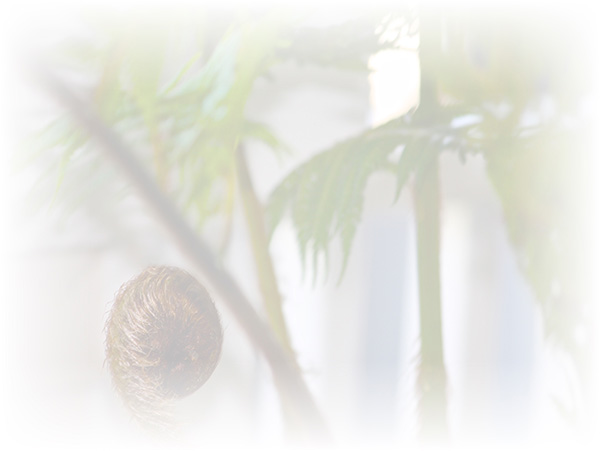Law of Attraction Card - Image 3