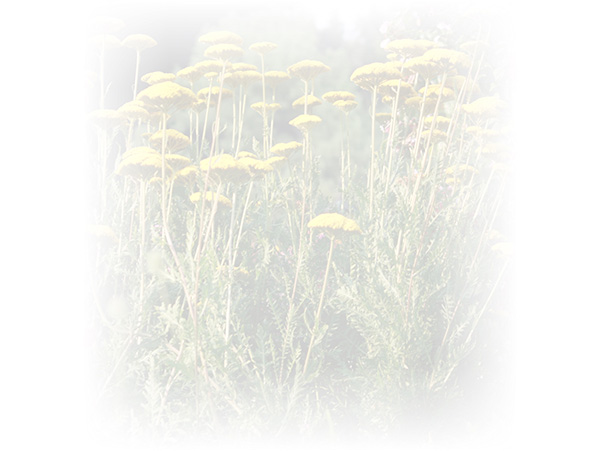 Law of Attraction Card - Image 3