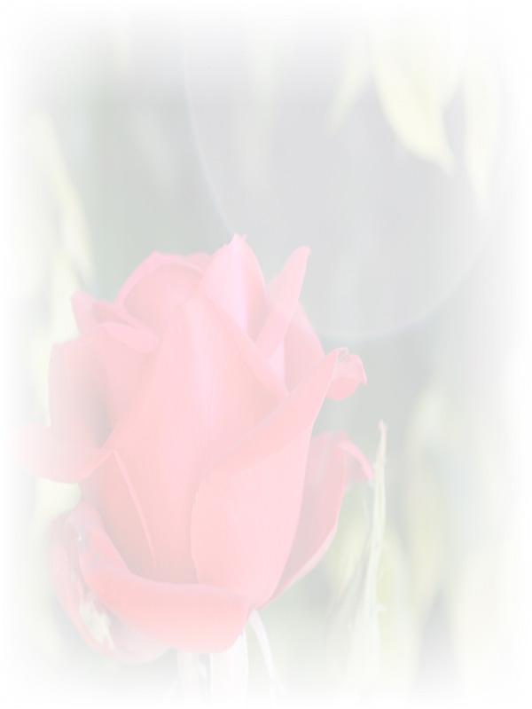 Law of Attraction Card - Image 3
