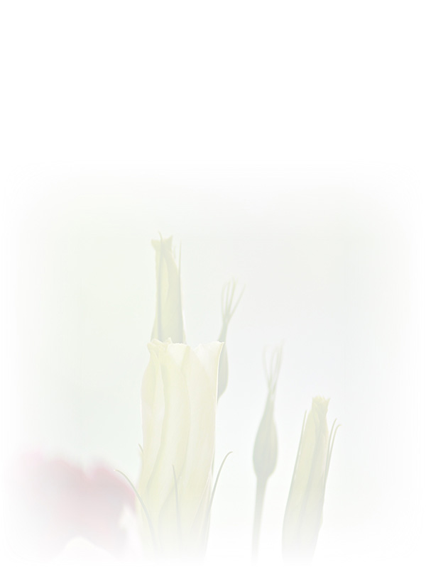 Law of Attraction Card - Image 3