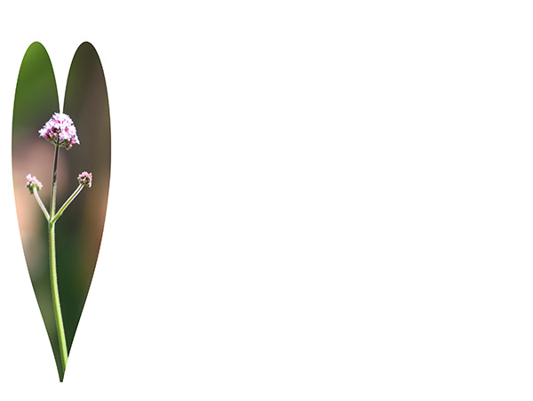 Law of Attraction Card - Image 3