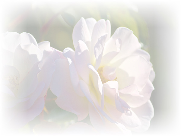Law of Attraction Card - Image 3