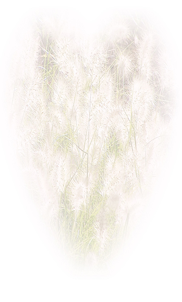 Law of Attraction Card - Image 3