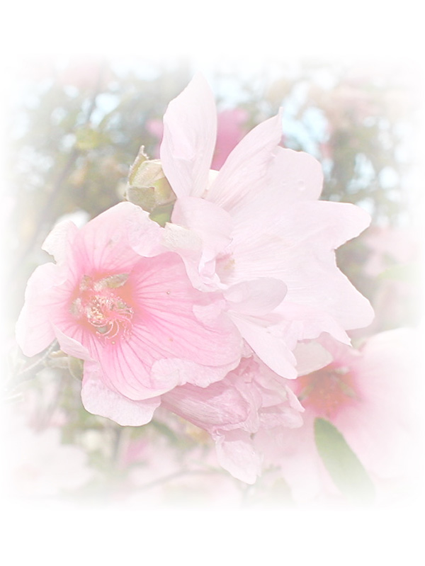 Law of Attraction Card - Image 3