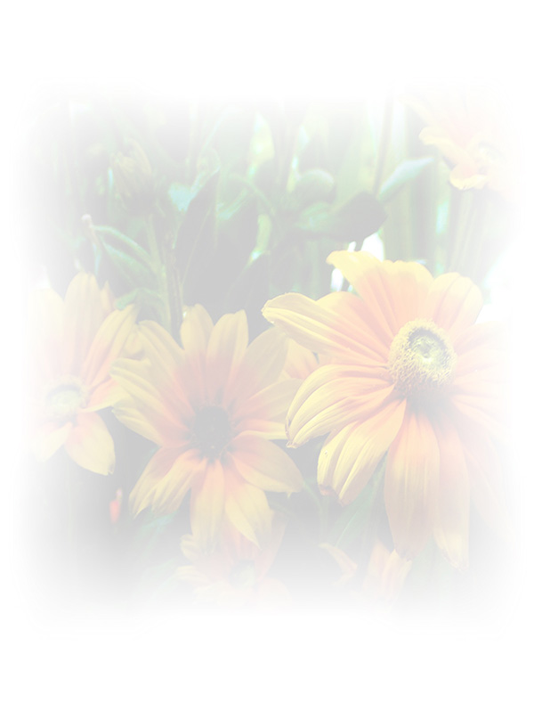 Law of Attraction Card - Image 3