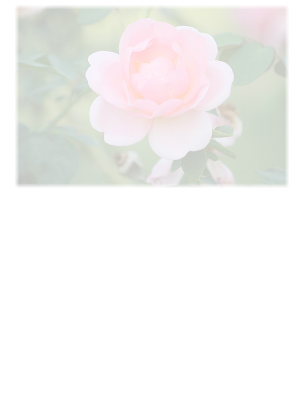 Law of Attraction Card - Image 3