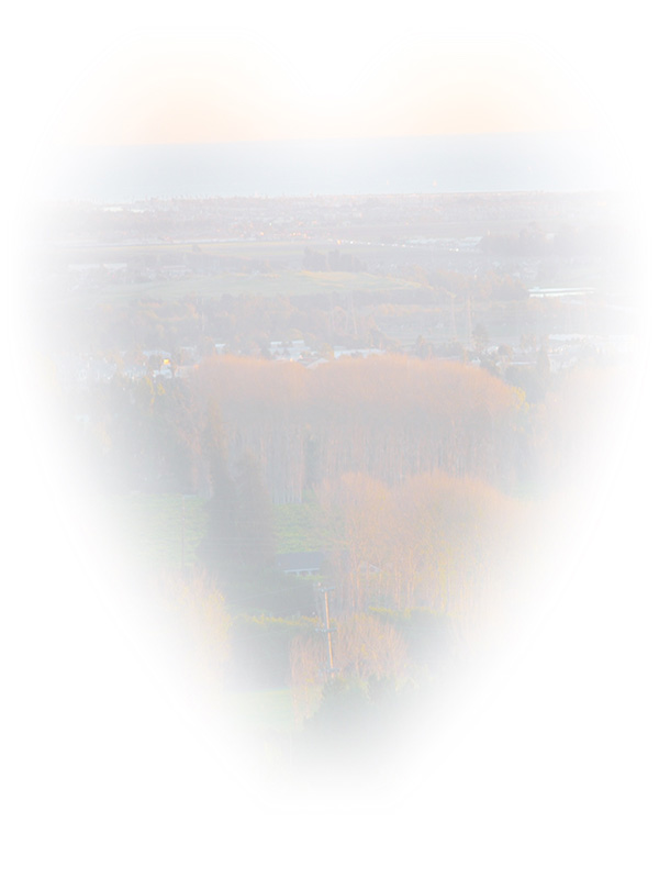 Law of Attraction Card - Image 3